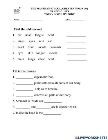 EVS - Inside My Body