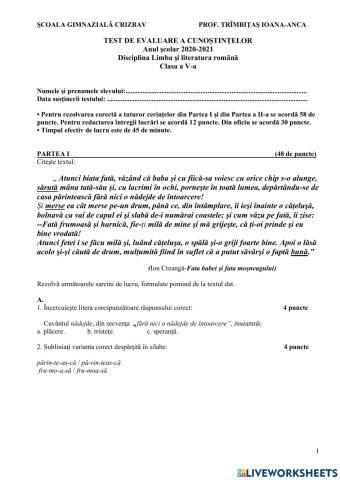 TEST SUMATIV SEMESTRUL II