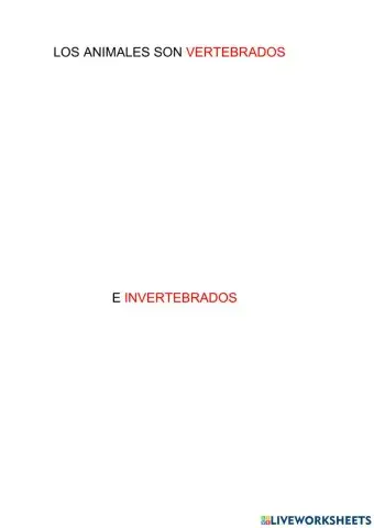 Los animales vertebrados e invertebrados