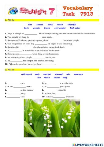 Spotlight 7 Task 7913