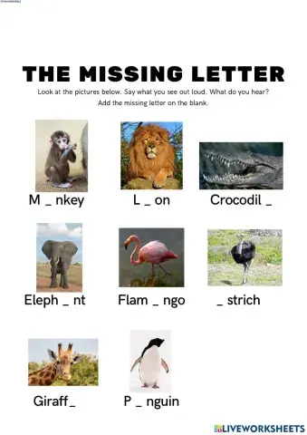 Numbers and Alphabet