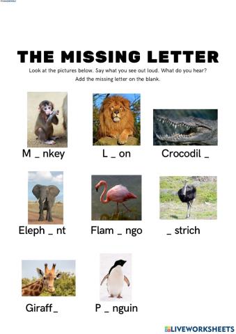 Numbers and Alphabet