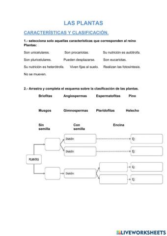 Características y clasificación del reino plantas.