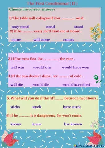 The First Conditional If