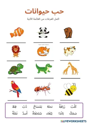 Hayvan sevgisi-حب الحيوانات