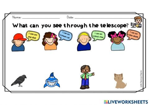 Shark in the park. vocabulary