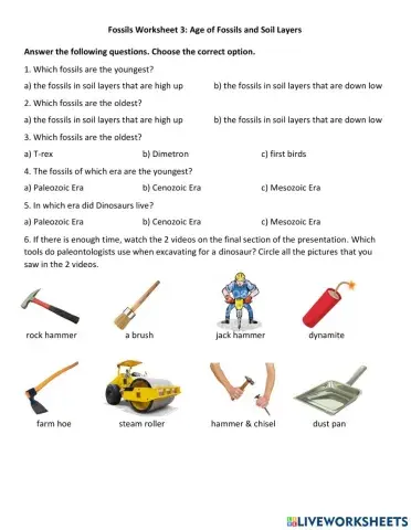 Fossils and Soil Layers