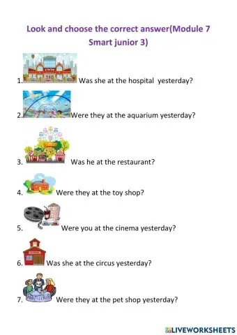 Module 7 Smart junior 3