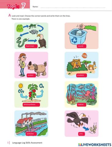 Grade 5 compass 3 unit 7