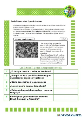 Biomas: tipos de bosque (parte 1)