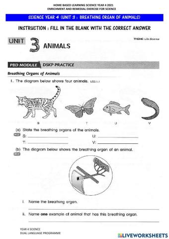 Breathing Organs Of Animals (Set 3)