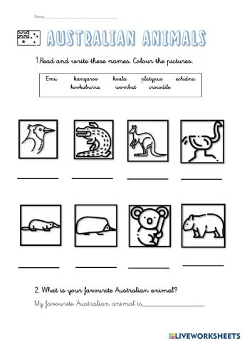 Australian animals