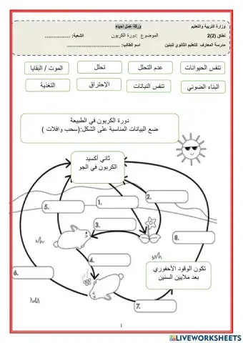 دورة الكربون