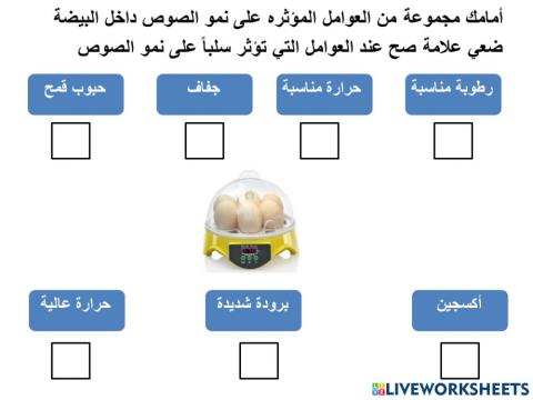 العوامل المؤثرة على نمو الصوص