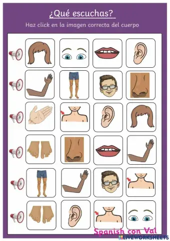 Las partes del cuerpo