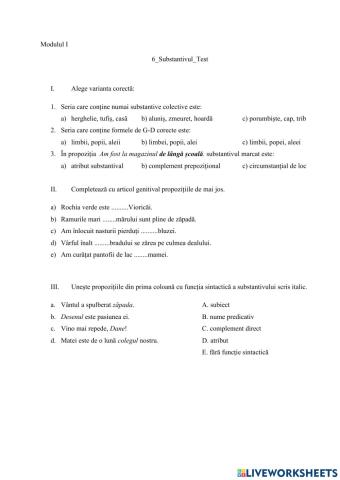 6-Substantivul-Test