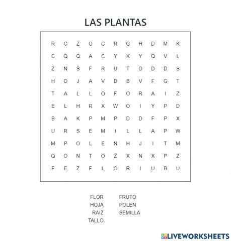 Las plantas