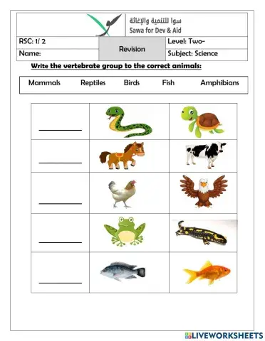 Vertebrate group