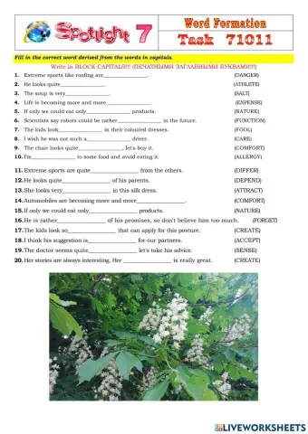 Spotlight 7 Task 71011