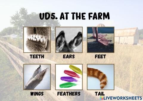 Ud5. at the farm