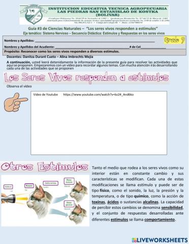 Los seres vivos responden a estímulos