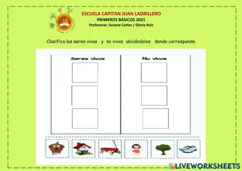 Clasificacion seres vivos- no vivos