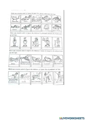 Il lago: fauna e attività