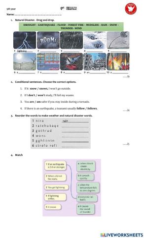 Natural disasters - Conditionals