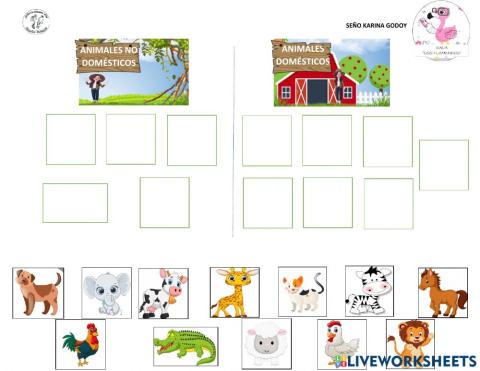 Animales domésticos y no domésticos