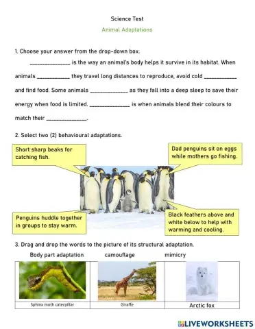 Animal adaptations