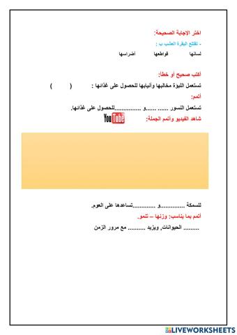 تمارين تفاعلية