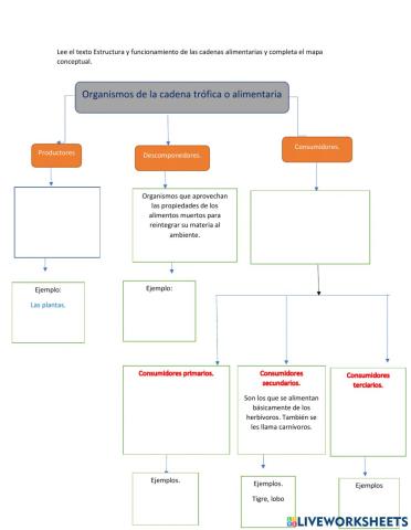 Cadenas alimentarias