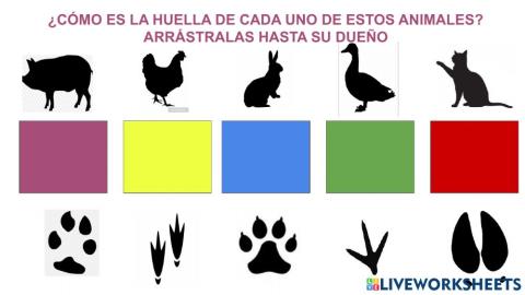 Huellas animales