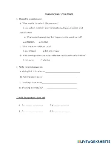 Organization of living beings