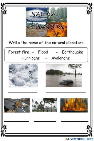 Natural Disasters'