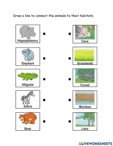 Animals and their habitats