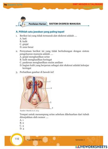 Penilaian Harian 3-Sistem Eksresi Manusia