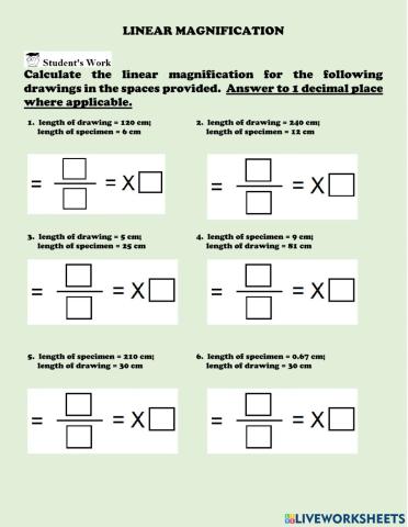 Linear Magnification