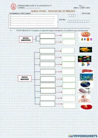 SERES VIVOS-NIVELES DE ORGANIZACION 2º