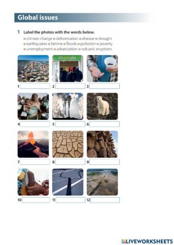 Vocabulary. Global issues and charity