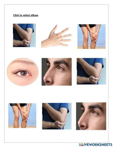 Select elbow picture