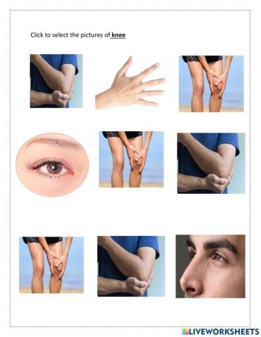 Click to select the pictures of Knee