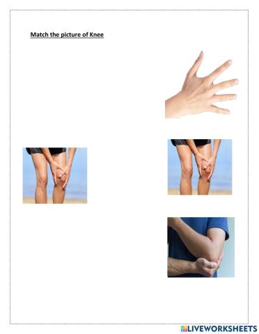 Match the picture of a knee