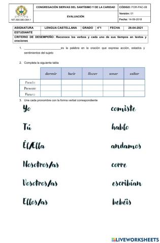 Verbos y tiempos verbales