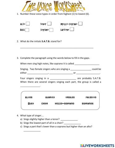 The Voice Worksheet