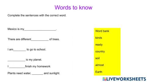 Words to know Lesson 24