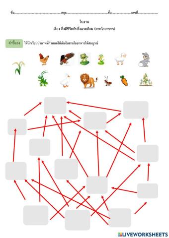 แบบฝึกหัดเรื่อง สายใยอาหาร