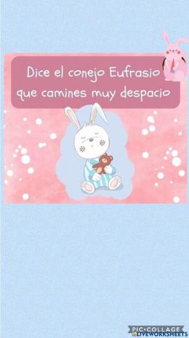 Ficha del conejo