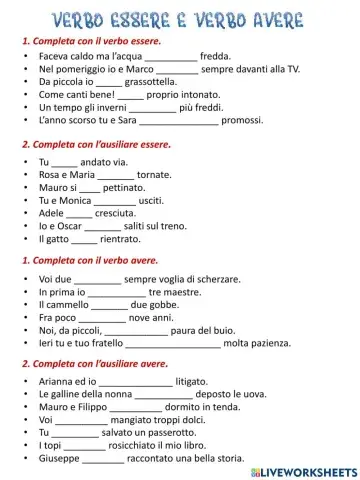 Verbo essere e verbo avere