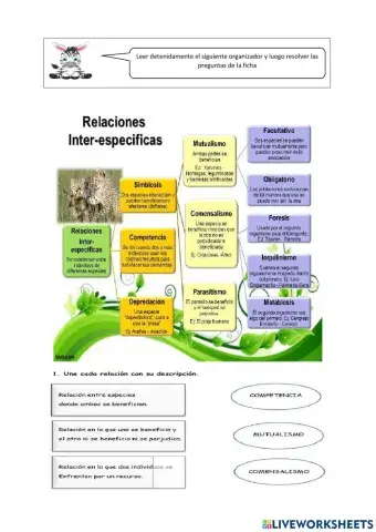 Relaciones inter específicas